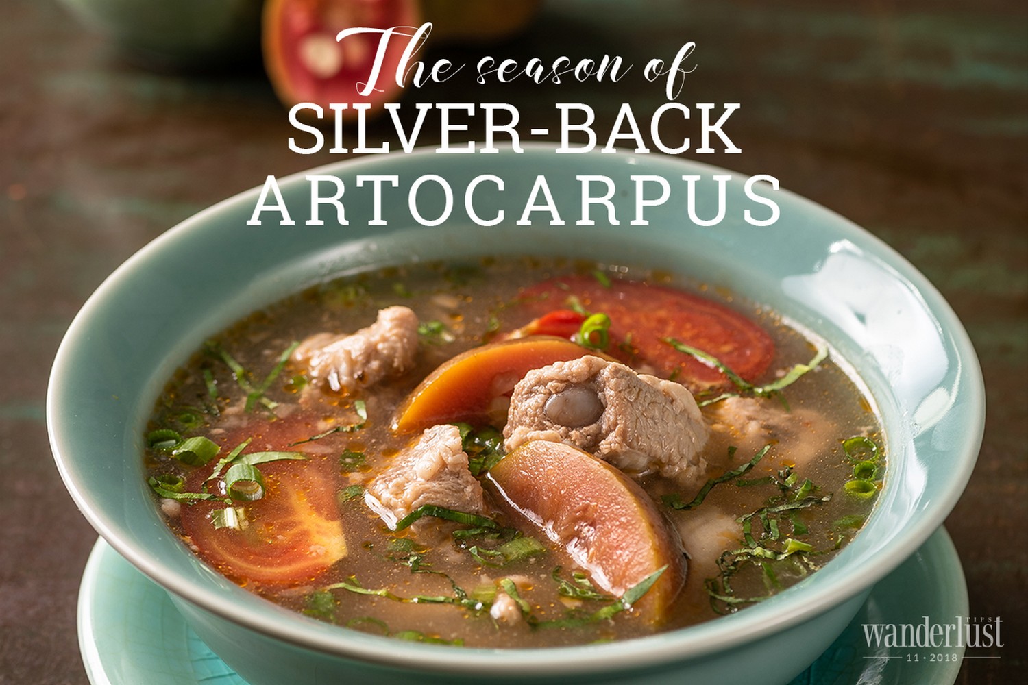 Wanderlust Tips Magazine | The season of Silver-Back Artocarpus