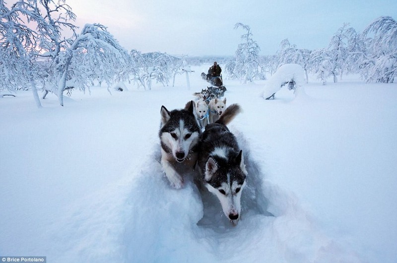 Wanderlust Tips Magazine | Young woman trade city life for untouched wildness in Lapland