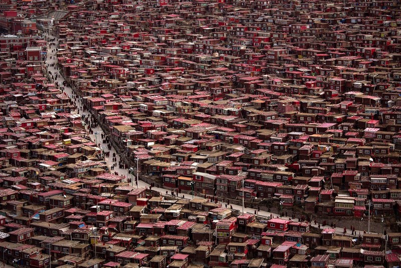 Wanderlust Tips Magazine | Nomads of Tibet hunting for the golden fungus