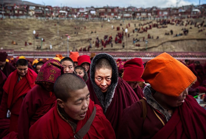 Wanderlust Tips Magazine | Nomads of Tibet hunting for the golden fungus