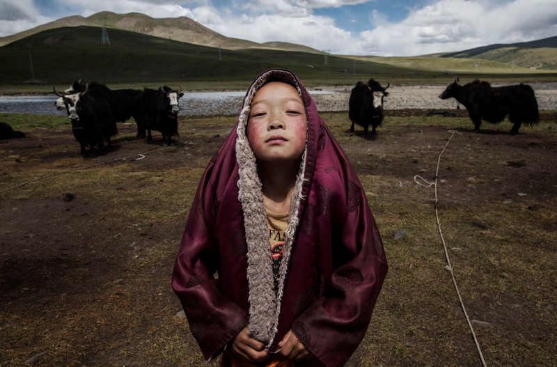Wanderlust Tips Magazine | Nomads of Tibet hunting for the golden fungus