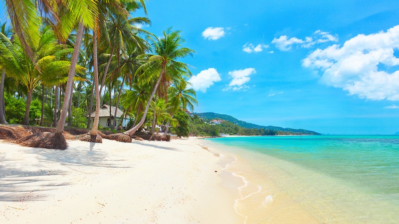 Wanderlust Tips Magazine | Ko Samui: Diving paradise in Thailand