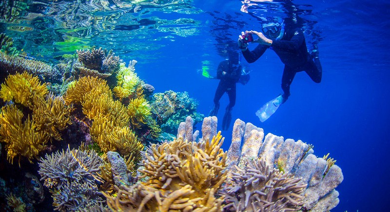 Wanderlust Tips Magazine | Raja Ampat: Diving paradise in Indonesia
