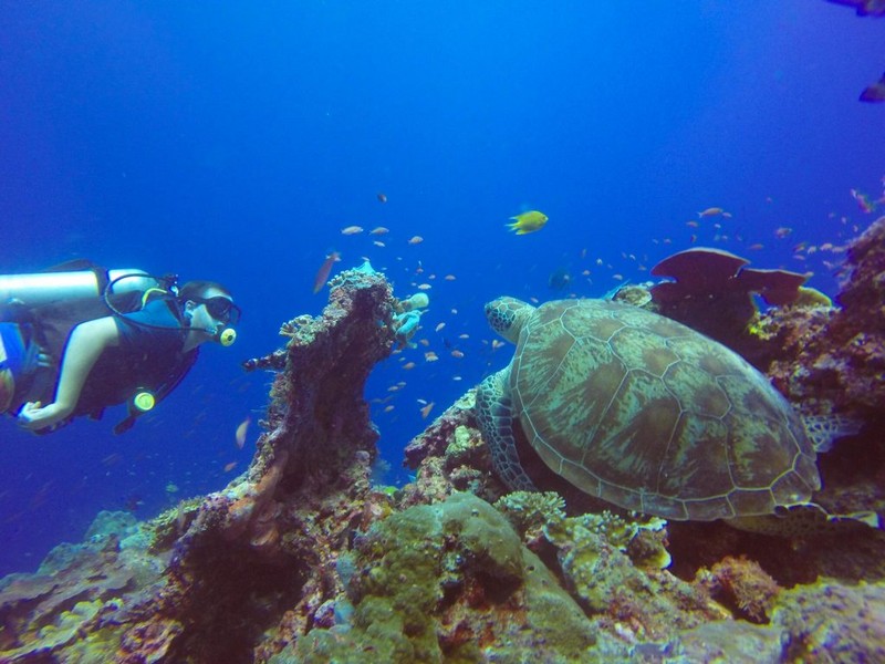 Wanderlust Tips Magazine | Sipadan: Diving paradise in Malaysia