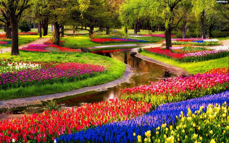 Wanderlust Tips Magazine | Getting lost in Keukenhof garden