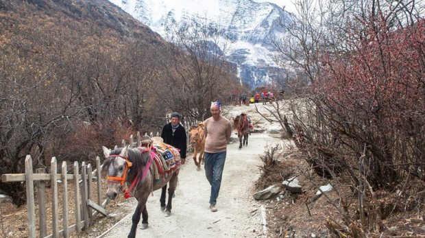 Wanderlust Tips Magazine | Nguyen Hoang Bao’s Journey on the “Silk Road”