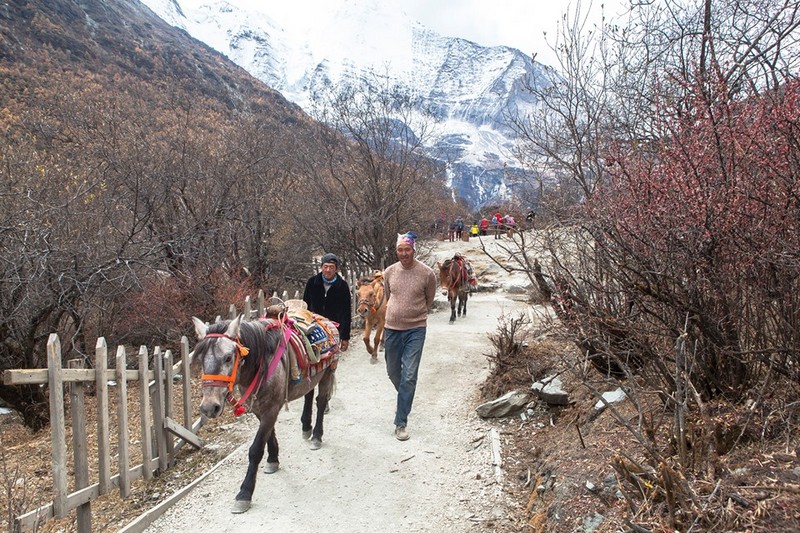 Wanderlust Tips Magazine | Nguyen Hoang Bao’s Journey on the “Silk Road”