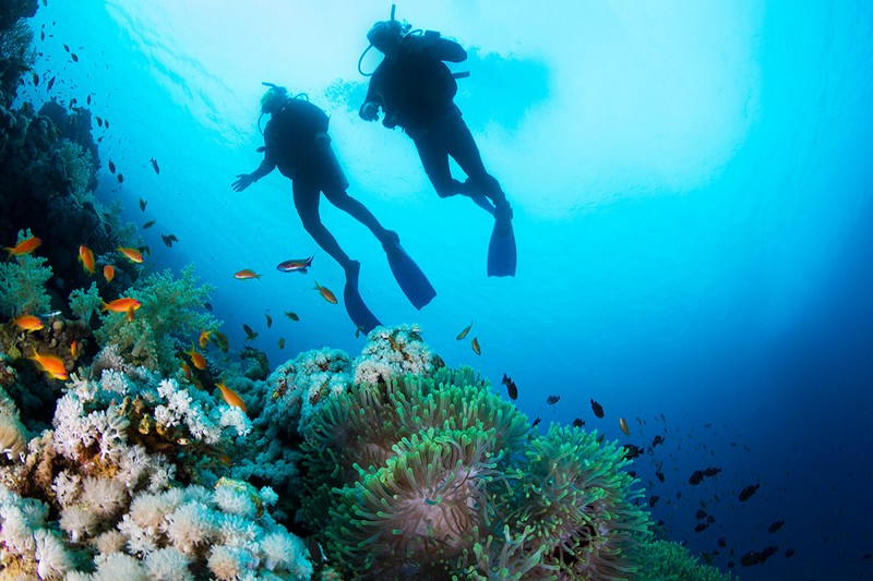 Wanderlust Tips Magazine | Tips for scuba diving