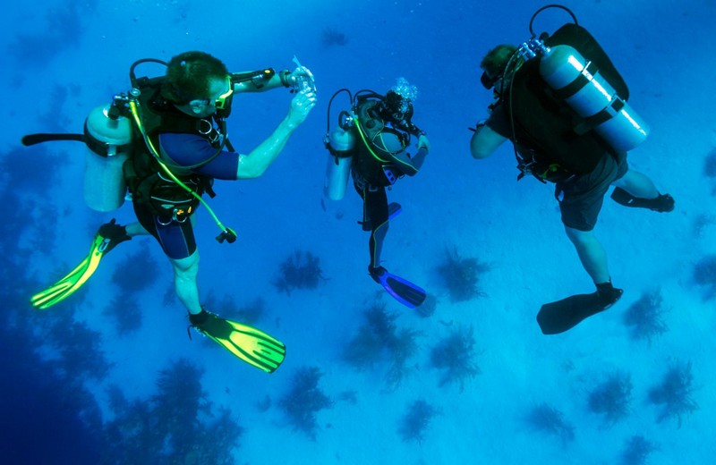 Wanderlust Tips Magazine | Tips for scuba diving