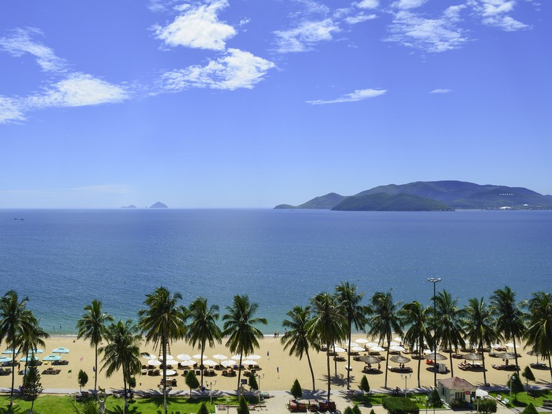 Wanderlust Tips Magazine | Novotel Nha Trang joined planting day in Tu Bong