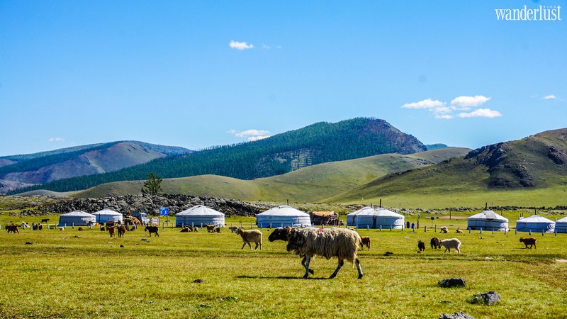 Wanderlust Tips Magazine | A 12-day road trip across the cold Gobi Desert