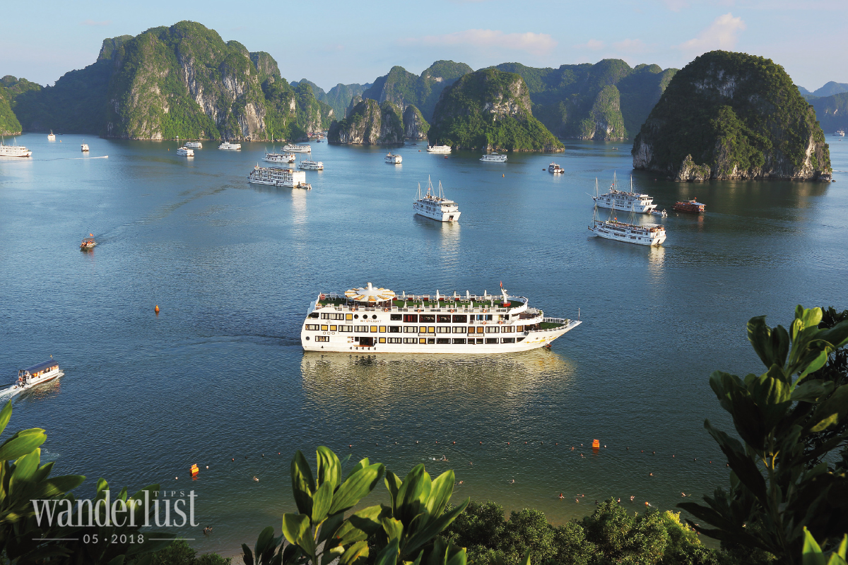 Wanderlust Tips Magazine | Mr. Bui Van Chi - The Director of Oriental Sails : “Choose a trip that suits your budget and is still full of experiences”