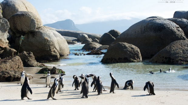 Wanderlust Tips Magazine | Cape Town – The rendezvous of the oceans