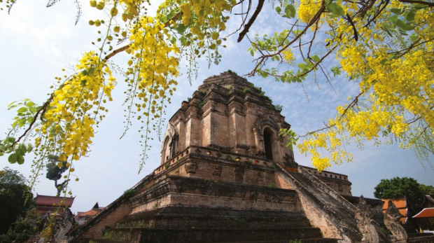 Wanderlust Tips Magazine | Chiang Mai - pretty little town in Northern Thailand