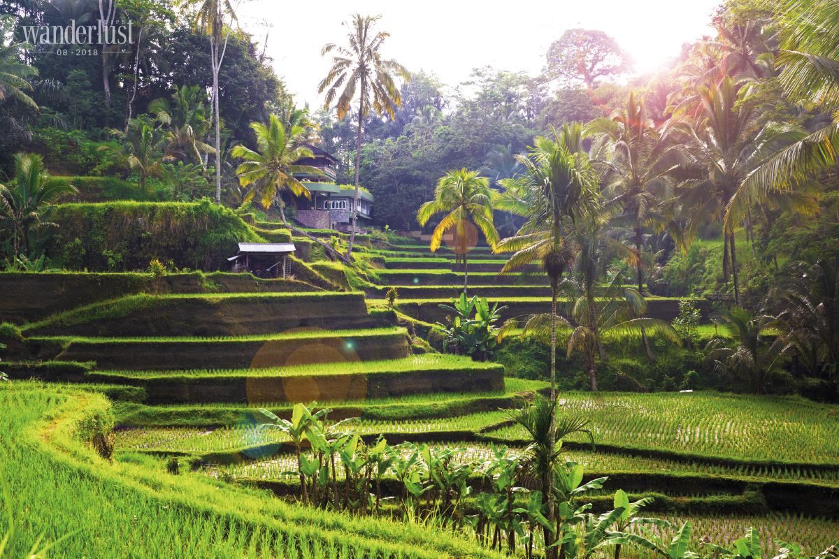 Wanderlust Tips Magazine | I left my heart in Bali