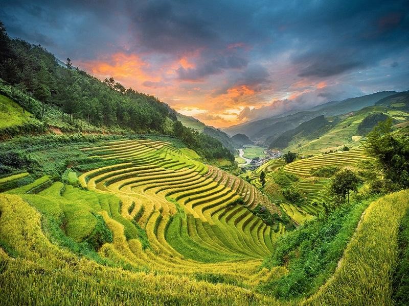 Wanderlust Tips | Sapa autumn gold