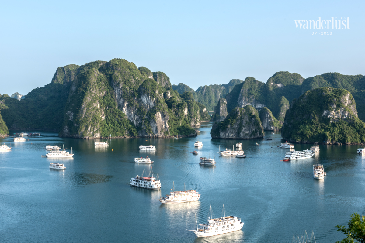 Wanderlust Tips Magazine | Starlight - the safest, most class boat in Halong Bay