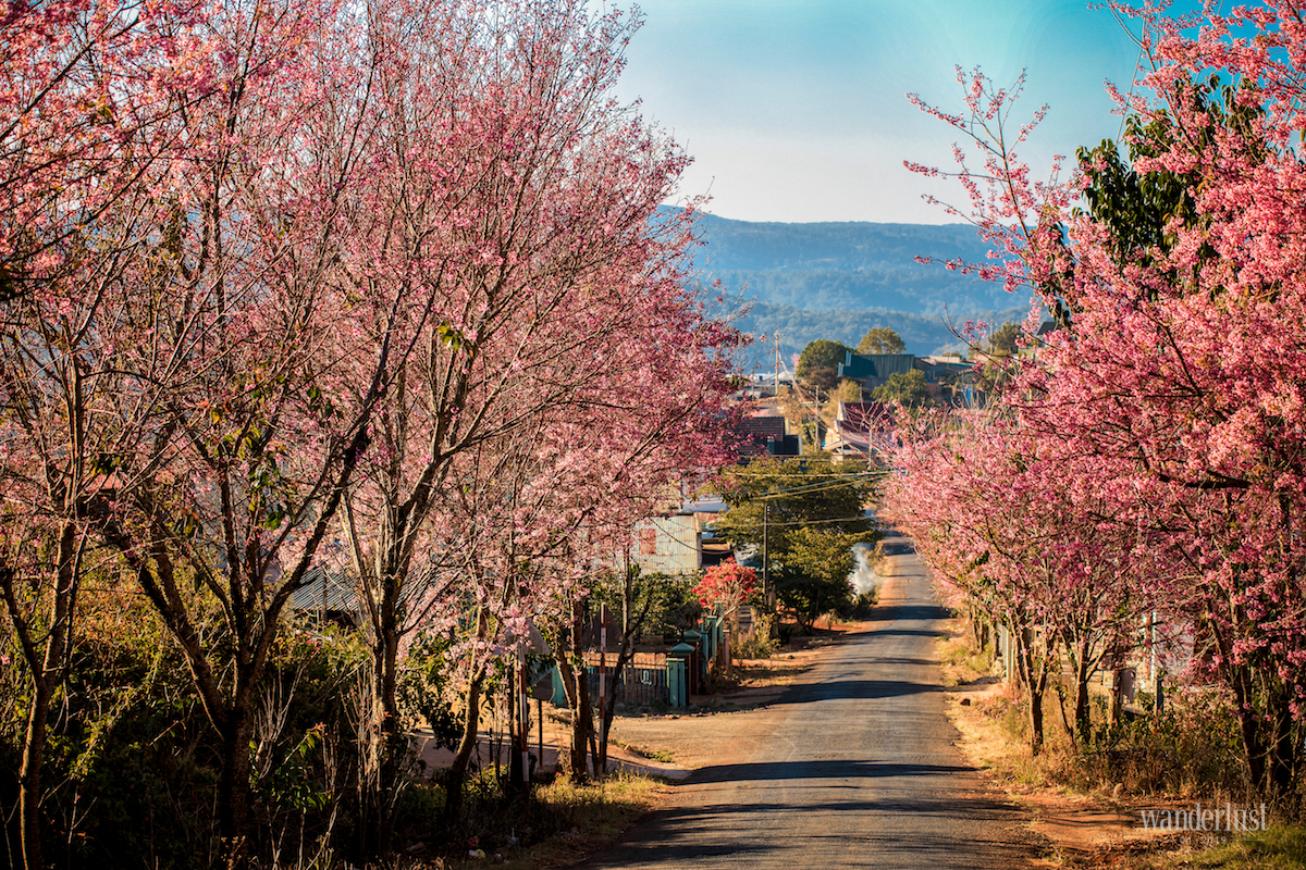 Wanderlust Tips Magazine | Da Lat with a lover