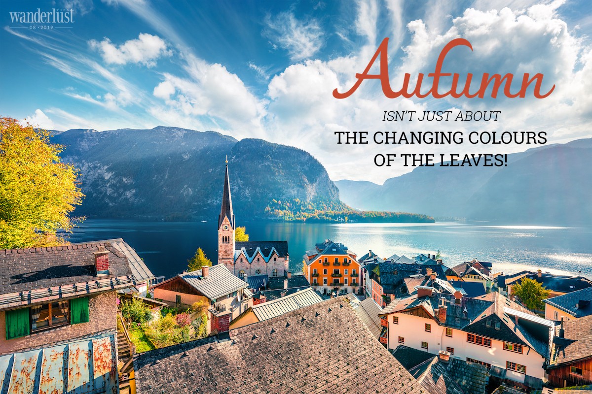 Wanderlust Tips Magazine | Autumn isn’t just about the changing colours of the leaves! 