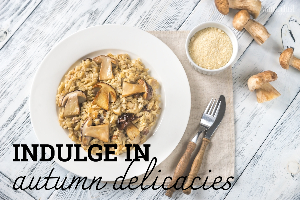 Wanderlust Tips Magazine | Indulge in autumn delicacies 