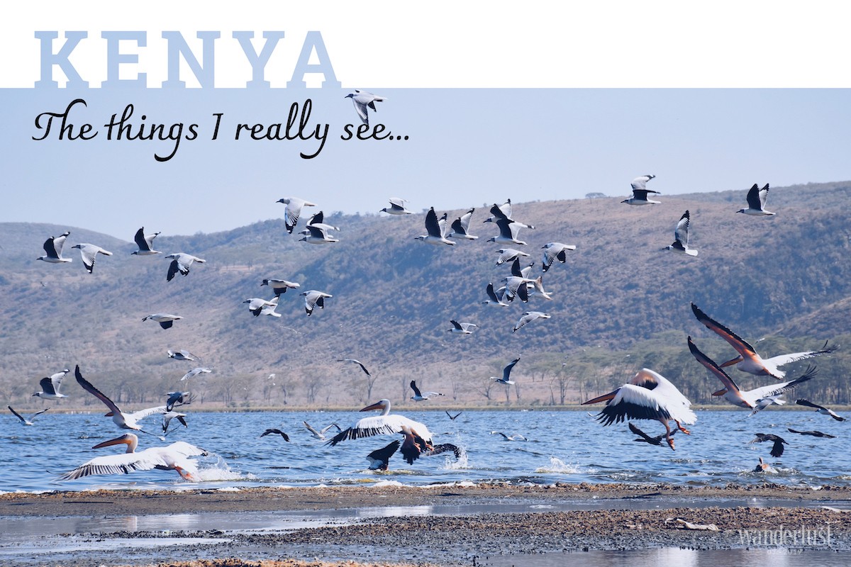 Wanderlust Tips Magazine | Kenya: The things I really see