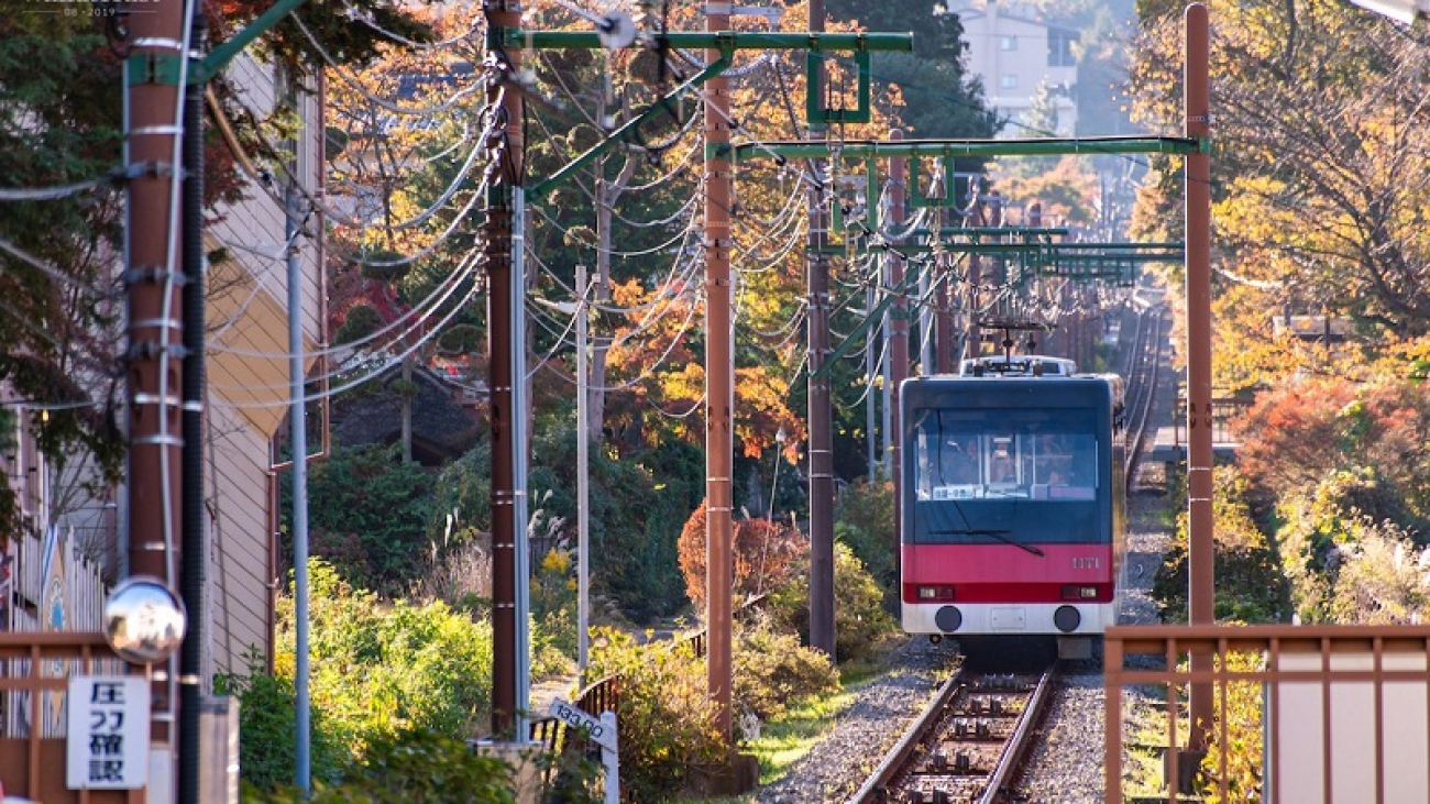 Wanderlust Tips From Tokyo, seeking out those autumnal vibes through postcards