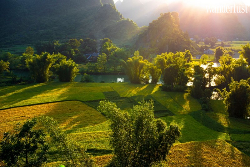 Wanderlust Tips | The alluring beauty of Quay Son River during the ripe rice season 