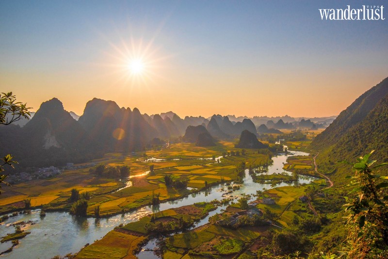 Wanderlust Tips | The alluring beauty of Quay Son River during the ripe rice season 