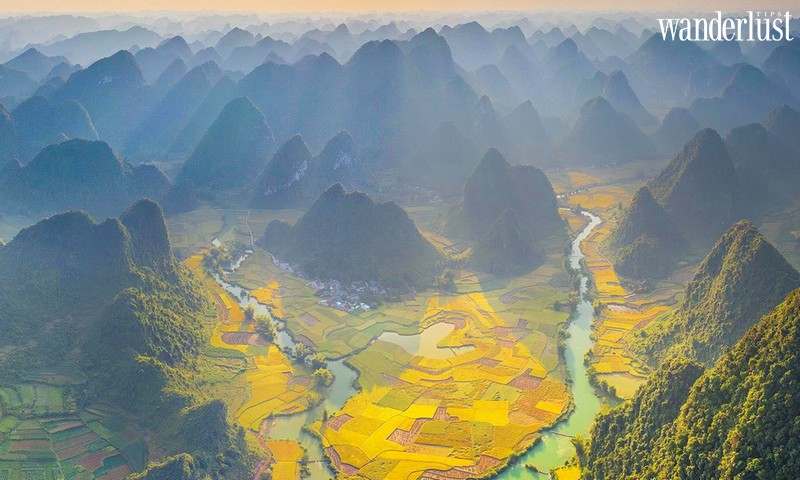 Wanderlust Tips | The alluring beauty of Quay Son River during the ripe rice season 