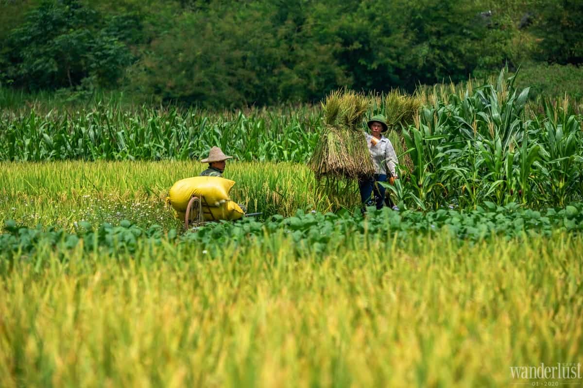 Wanderlust Tips magazine | Cao Bang: A magnificent symphony in the mountains