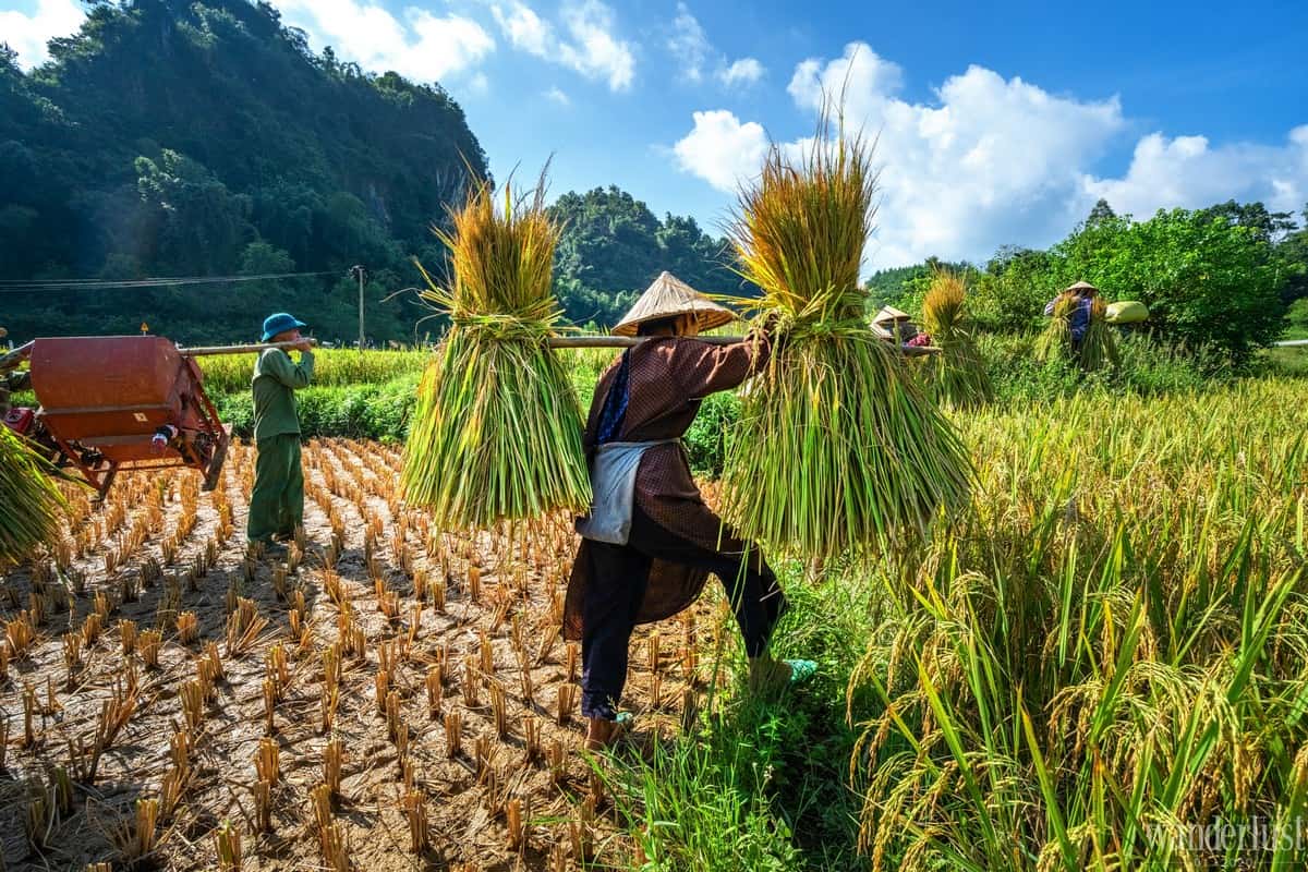 Wanderlust Tips magazine | Cao Bang: A magnificent symphony in the mountains