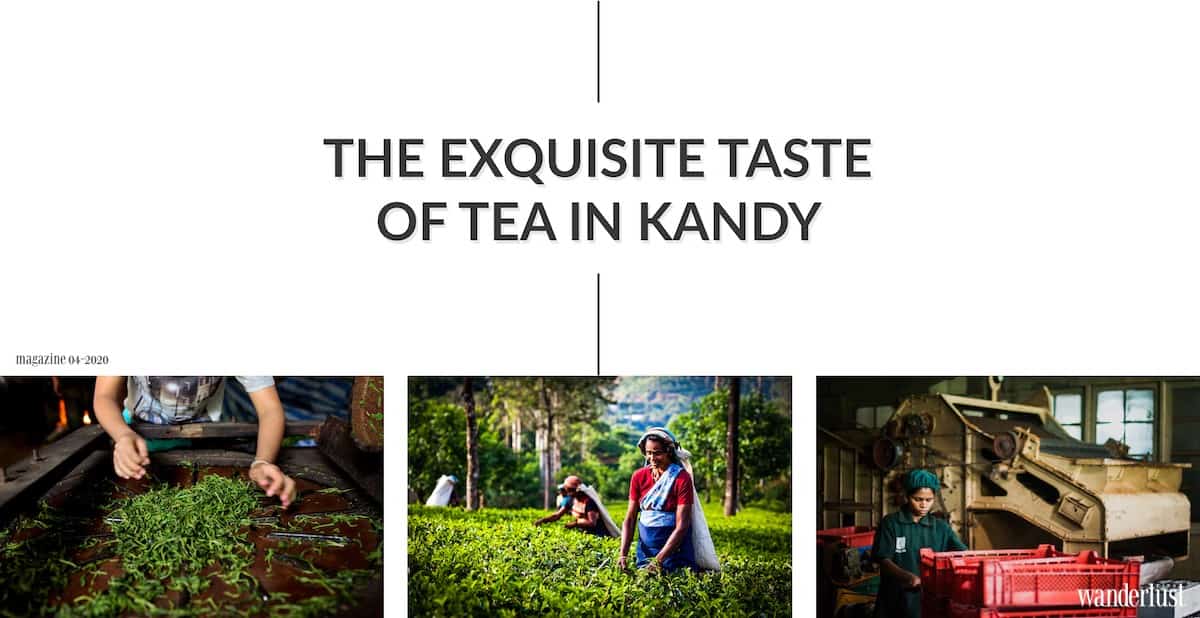 Wanderlust Tips magazine | Get lost in Kandy: The peaceful and scenic city of Sri Lanka