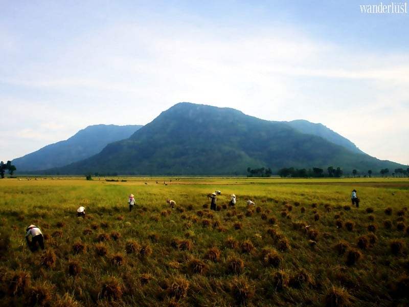 Wanderlust Tips Magazine | An essential guide to An Giang