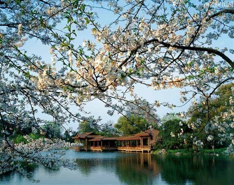 Wanderlust Tips Magazine | Hangzhou: Heaven on Earth