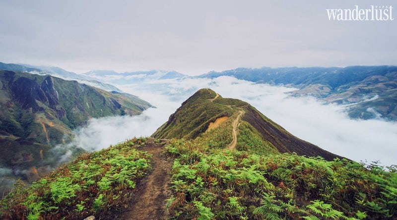 Wanderlust Tips Magazine | Ta Xua Peak: A haven for adventure seekers