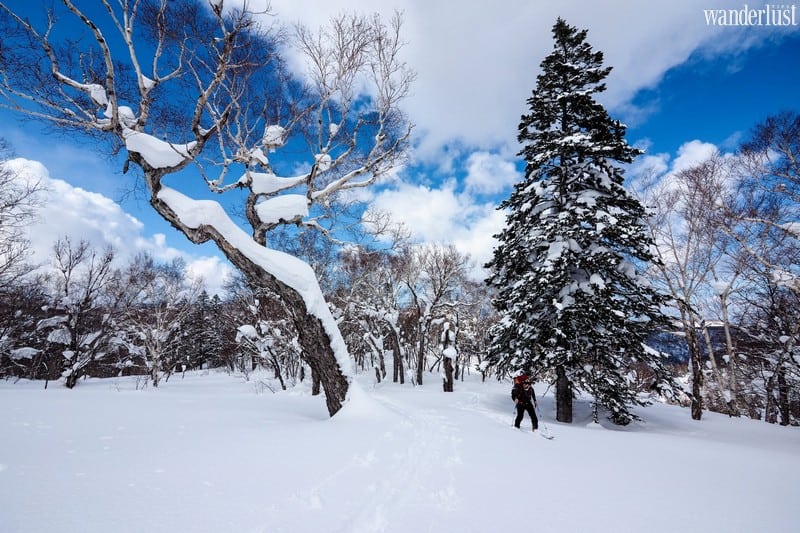 Wanderlust Tips Magazine | Things to see and do in Hokkaido, Japan