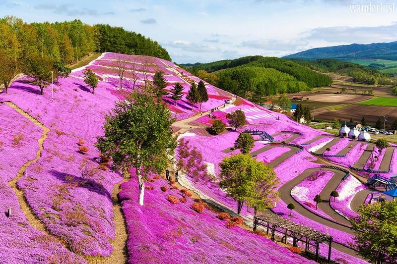 Wanderlust Tips Magazine | Things to see and do in Hokkaido, Japan