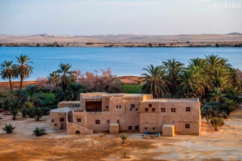 Wanderlust Tips Magazine | Siwa: A tranquil oasis sitting at the heart of the Egyptian desert