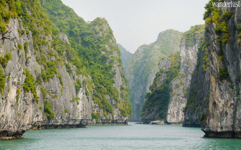 Wanderlust Tips Magazine | Lan Ha Bay: A rich treasure trove of nature  