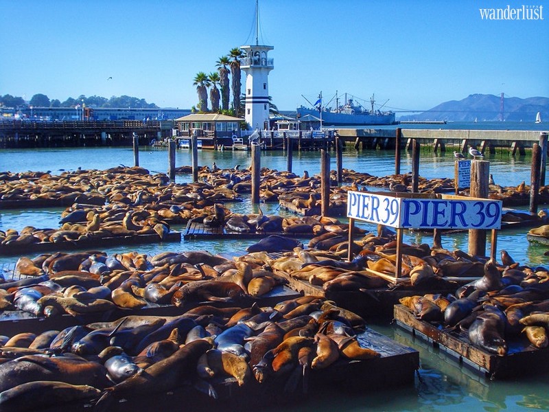 Wanderlust Tips Travel Magazine | 10 must-do experiences in San Francisco, California