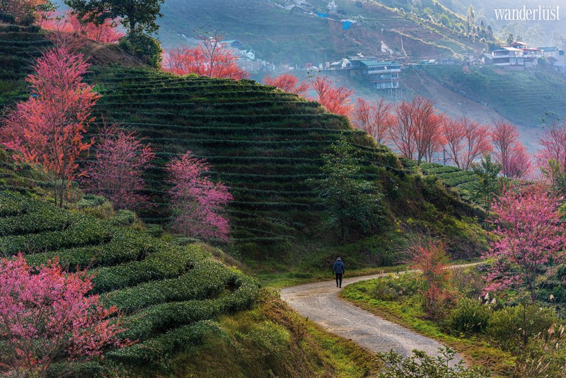 Wanderlust Tips Travel Magazine | Sa Pa, Vietnam: A symphony of magnificent mountains and forests