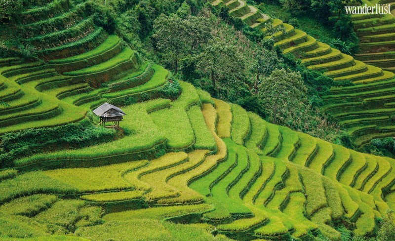 Wanderlust Tips Travel Magazine | Sa Pa, Vietnam: A symphony of magnificent mountains and forests