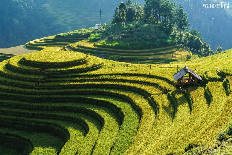 Wanderlust Tips Travel Magazine | Scenic lines through the beautiful parts of Vietnam