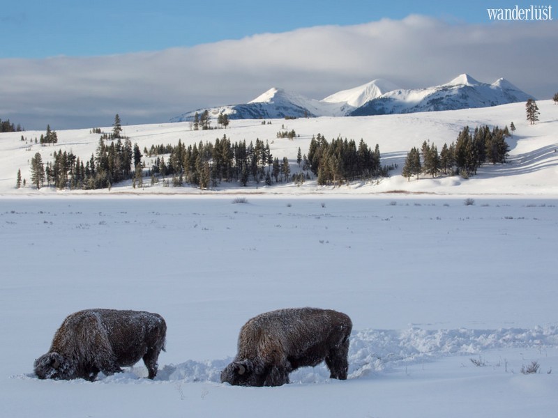 Wanderlust Tips Travel Magazine | The best US national parks to visit in winter 