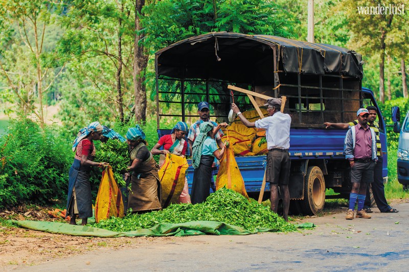 Wanderlust Tips Magazine | Travel through Sri Lanka