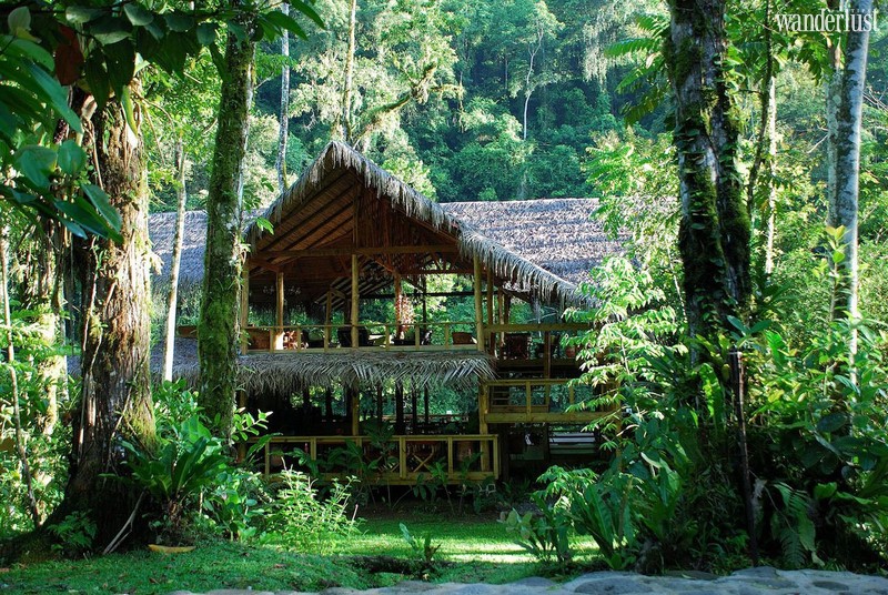 Wanderlust Tips Travel Magazine | Reconnect with nature at 7 magical forest resorts