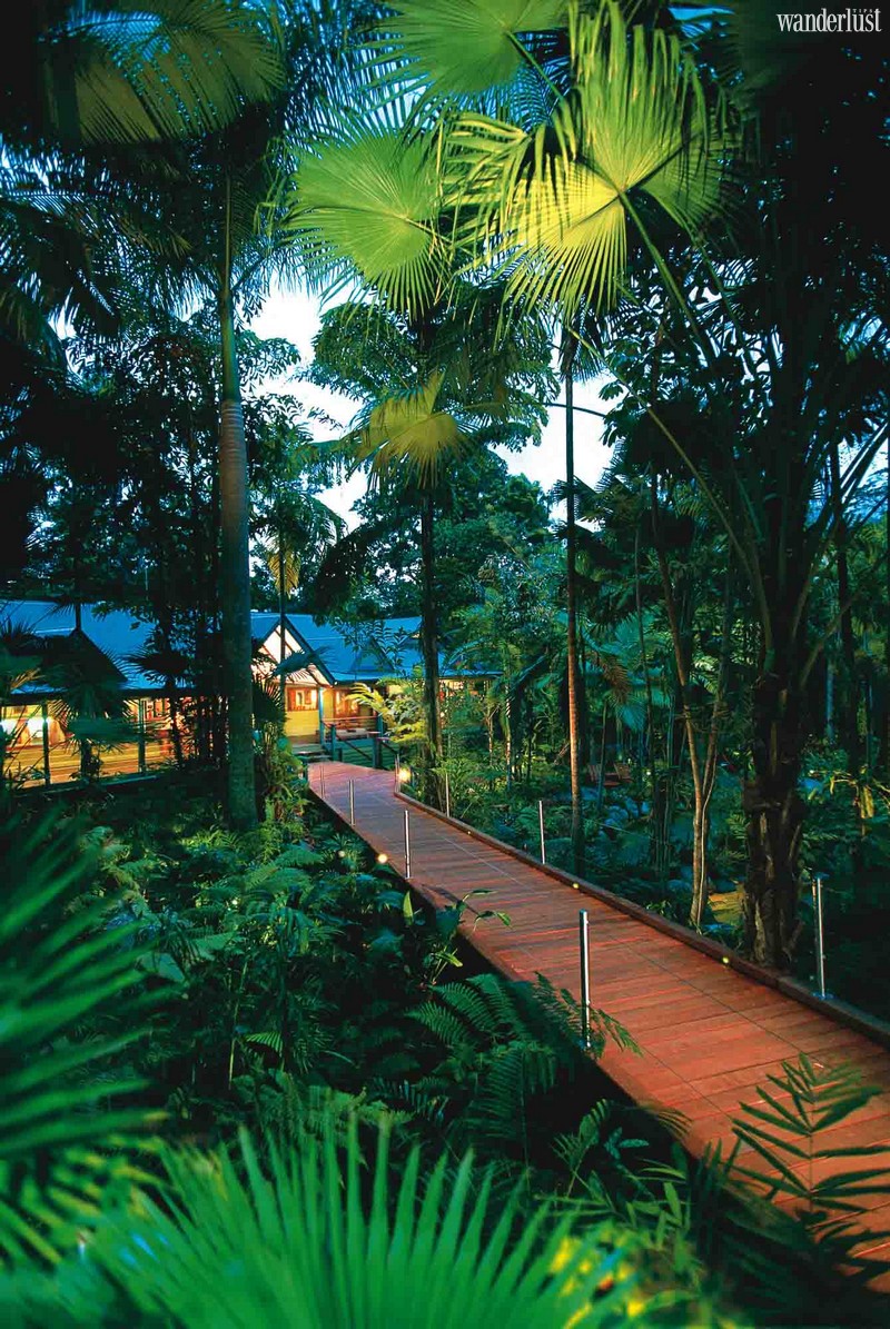 Wanderlust Tips Travel Magazine | Reconnect with nature at 7 magical forest resorts