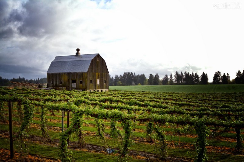 Wanderlust Tips Travel Magazine | The best destinations in America for wine lovers