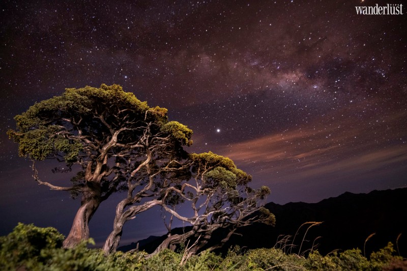Wanderlust Tips Magazine | The best places to go stargazing in Asia