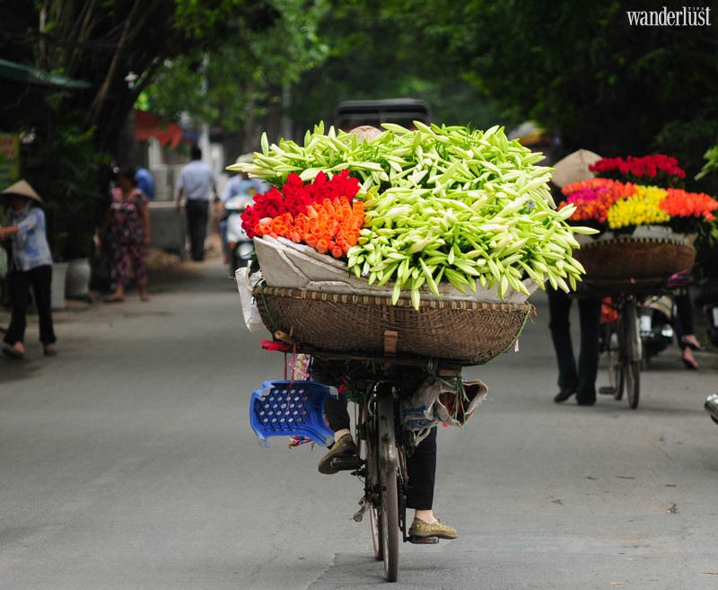 Wanderlust Tips Magazine | April: An exquisite floral interlude across Vietnam